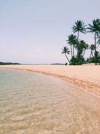 Scenic view of beach against clear sky