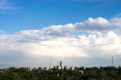 Trees and cityscape against sky