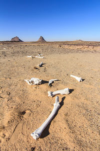 View of a desert