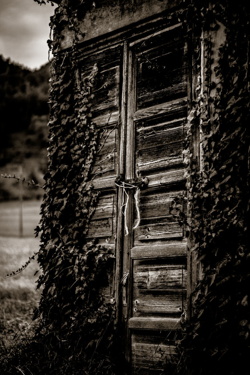 ABANDONED BUILDING