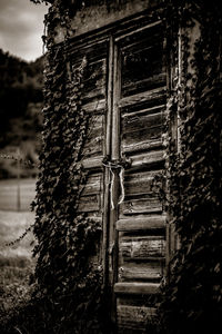 Old abandoned building