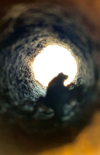 Close-up of illuminated light bulb against black background