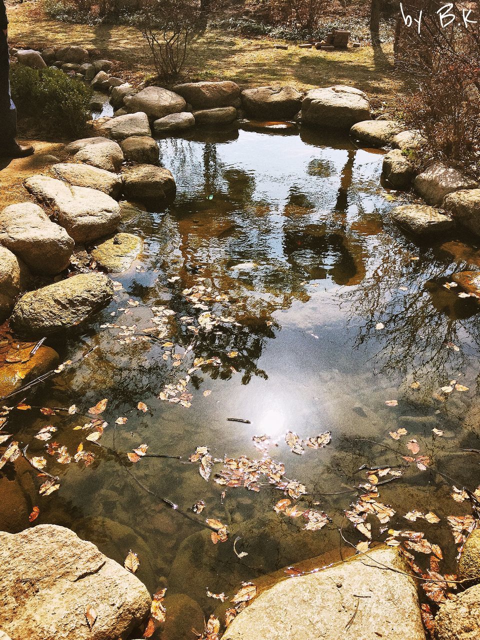 water, reflection, puddle, wet, tranquility, lake, high angle view, nature, sunlight, tree, day, outdoors, standing water, no people, beauty in nature, river, pond, rippled, shadow, street