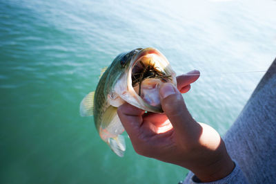 Close-up of hand holding shell over sea