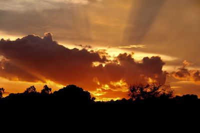 Silhouette trees against dramatic sky during sunset