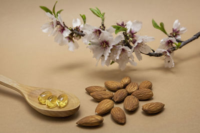 Close-up of various flowers on table