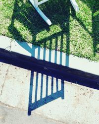 High angle view of shadow on tree