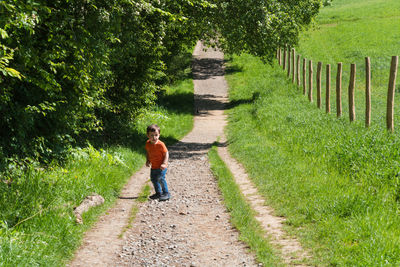 Rear view of man walking on footpath amidst plants