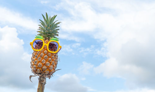 Low angle view of fruits on tree against sky