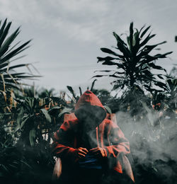 Rear view of woman holding plants against sky