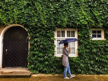 Full length of woman with umbrella walking against house covered with ivy during monsoon