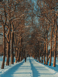 Rear view of people walking on snow covered footpath