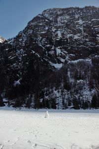 Trees on snow covered field against sky