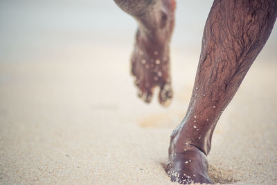 Low section of man running on sand