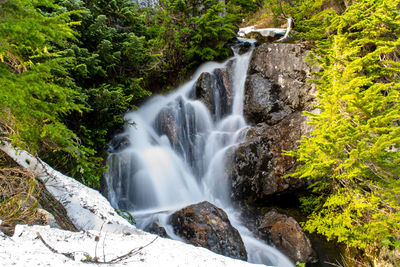 Scenic view of waterfall in forest