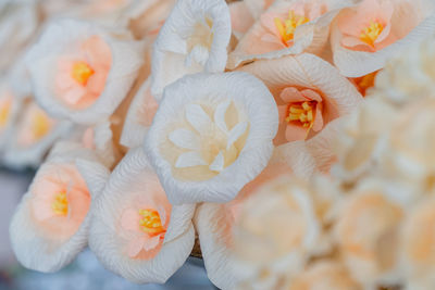 Full frame shot of yellow flower