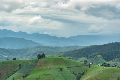 Scenic view of agricultural field against sky