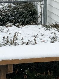 Close-up of snow