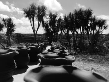 Trees on landscape against cloudy sky