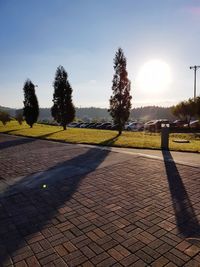 Shadow of trees on grass against sky