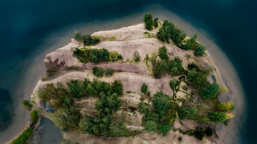 High angle view of plants growing on land against sky