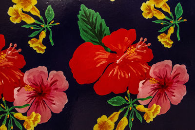 Close-up of hibiscus blooming outdoors