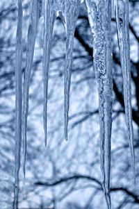 Close-up of frozen water