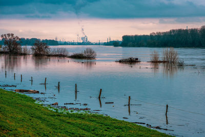 Flood on the rhine near cologne, germany.