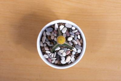 High angle view of breakfast on table