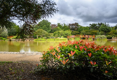 Scenic view of lake against cloudy sky