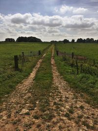 Scenic view of vineyard against cloudy sky