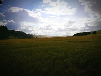Scenic view of field against sky