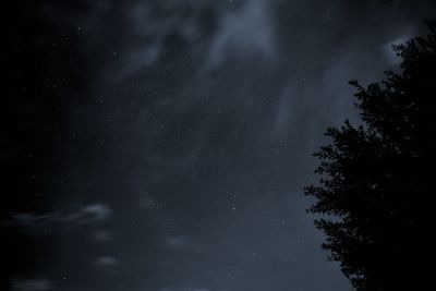 Low angle view of silhouette trees against sky at night