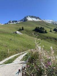 nature
