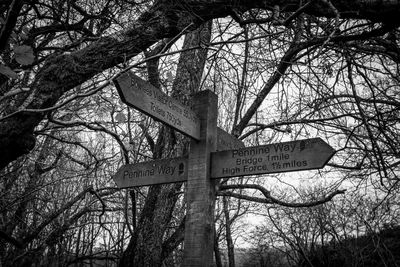 Low angle view of sign on tree against sky