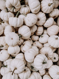 Full frame shot of pumpkins for sale