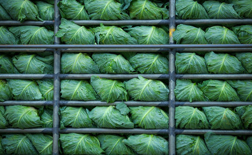 Full frame shot of vegetables for sale at market