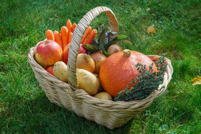 Fresh fruits in basket on field