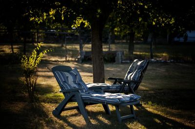 Empty bench in park