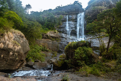 Scenic view of waterfall in forest