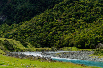 Scenic view of trees by green landscape