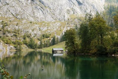 Scenic view of lake by trees