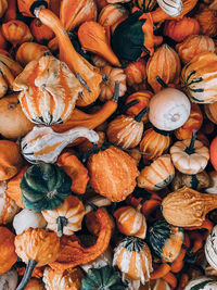 Full frame shot of pumpkins for sale at market stall