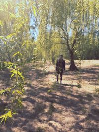 Rear view of men walking in forest