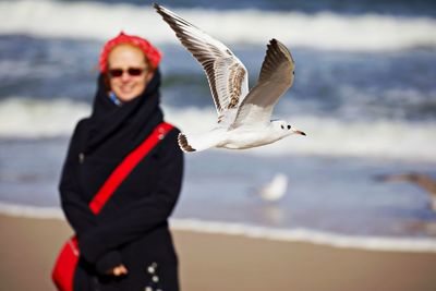 View of seagull flying by woman in background at beach
