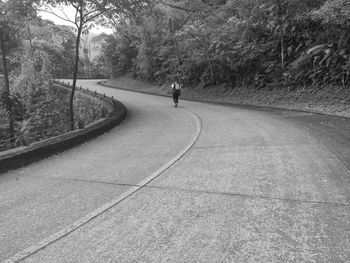 Road amidst trees