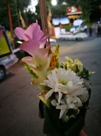 Close-up of fresh pink flowers on street