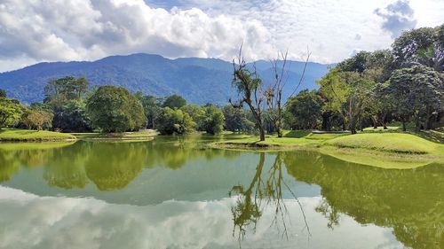 Scenic view of lake by trees against sky