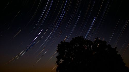 Low angle view of firework display at night