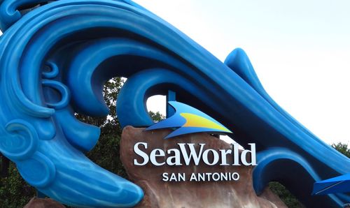 Close-up of sign against blue sky